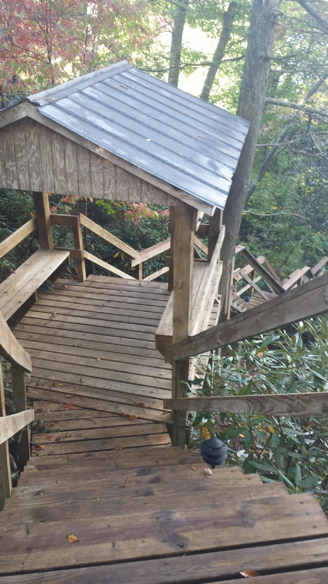 Metal roofed shelter over wooden steps on a wooded walkway — Skylight Repair & Installation work by our crew in Hastings